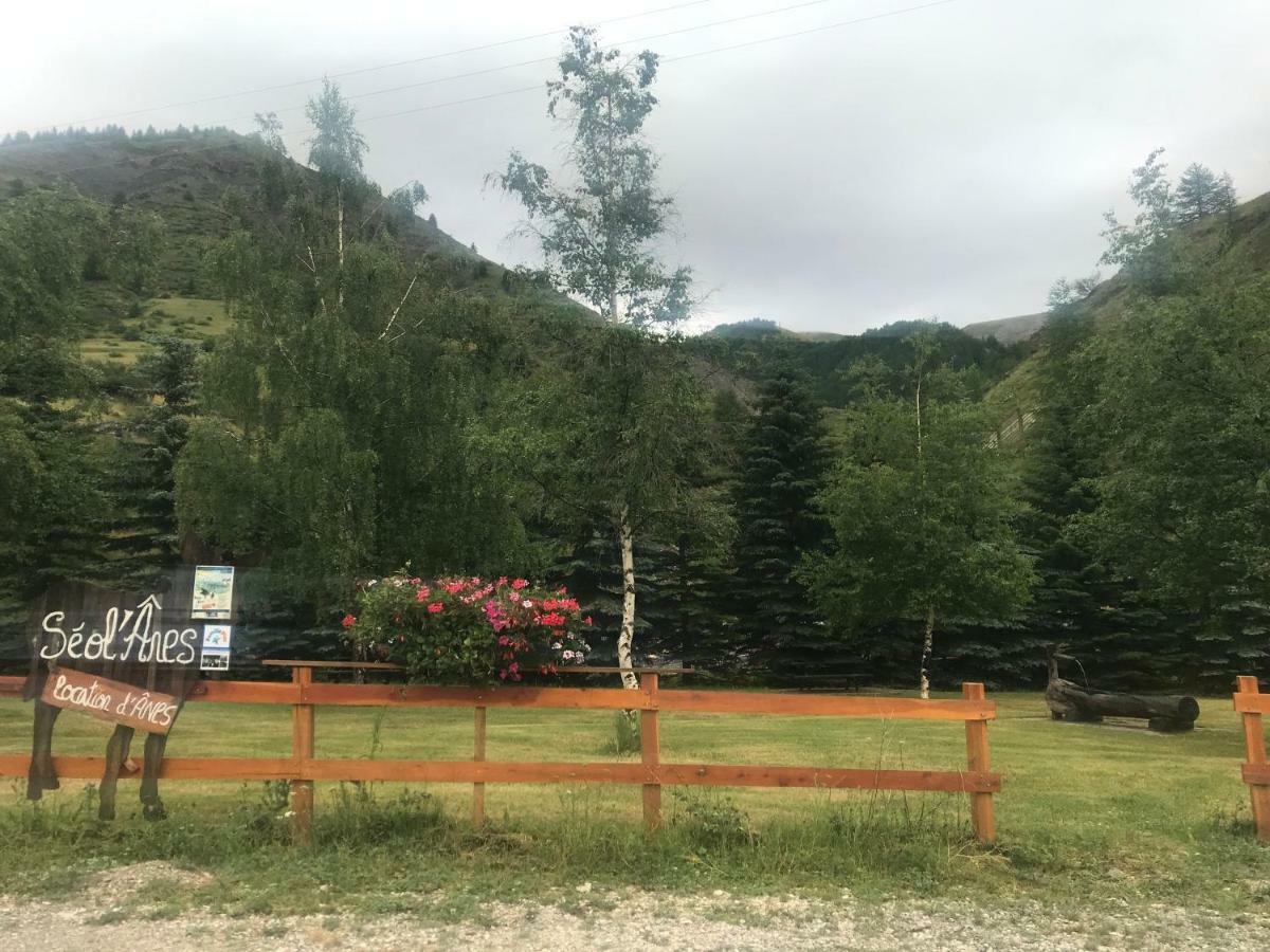 Studio Chaleureux A La Foux D'Allos Exteriör bild